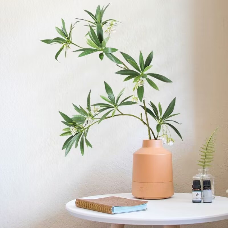Dracaena Marginata - Buket Meja Tanaman Hijau Palsu Rangkaian
