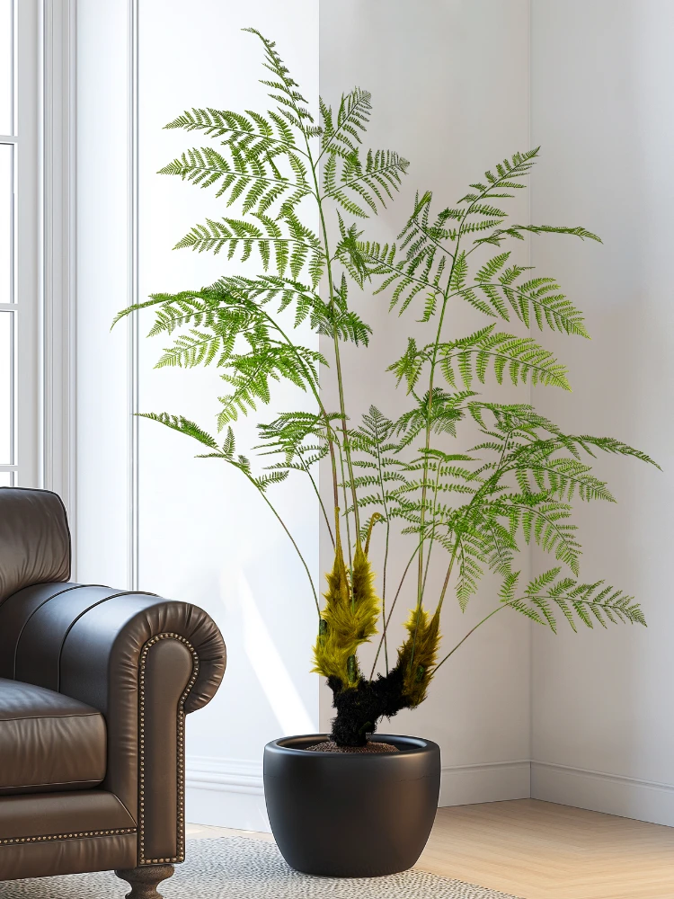 Dracaena Marginata - Besar simulasi monyet emas pakis hijau