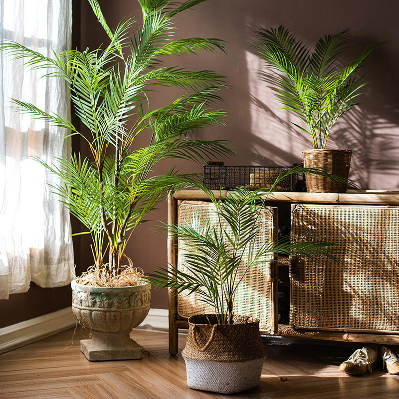 Dracaena Marginata - Pohon Palem Buatan Besar 125cm, Tanaman