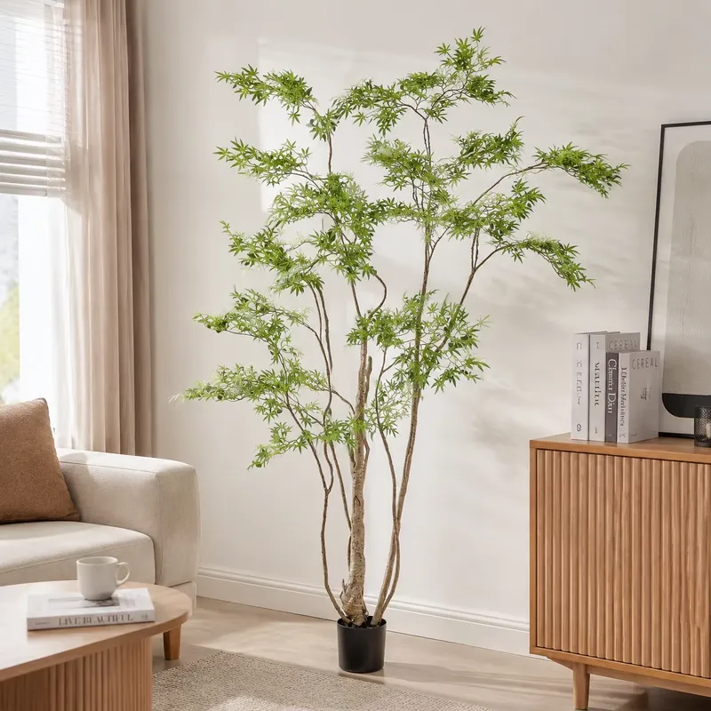 Pohon Maple Jepang Buatan dala - Dracaena Marginata ulasan dan harga