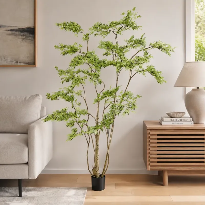 Pohon Maple Jepang Buatan dala - Dracaena Marginata ulasan dan harga