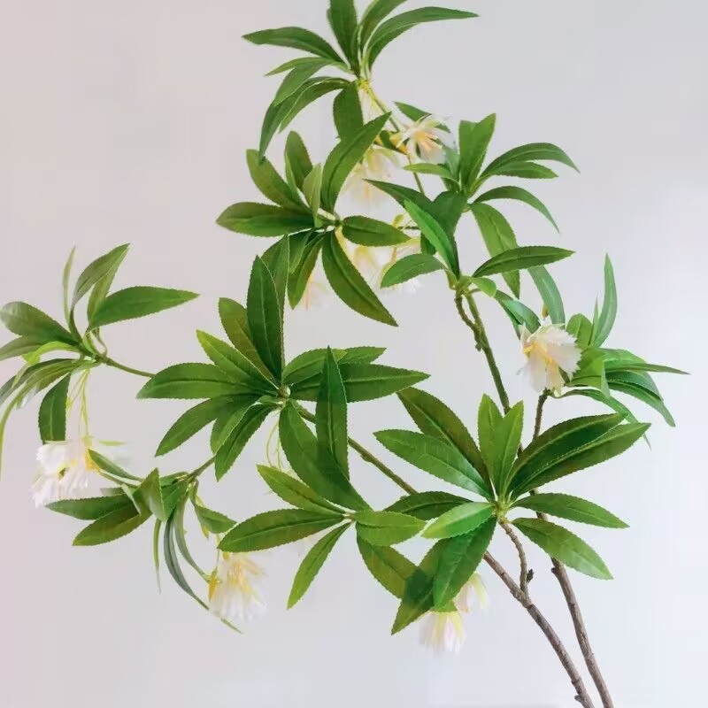 Buket Meja Tanaman Hijau Palsu - Dracaena Marginata ulasan dan harga