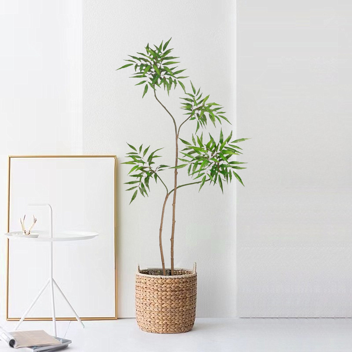 Tanaman palsu plastik dekorasi - Dracaena Marginata ulasan dan harga