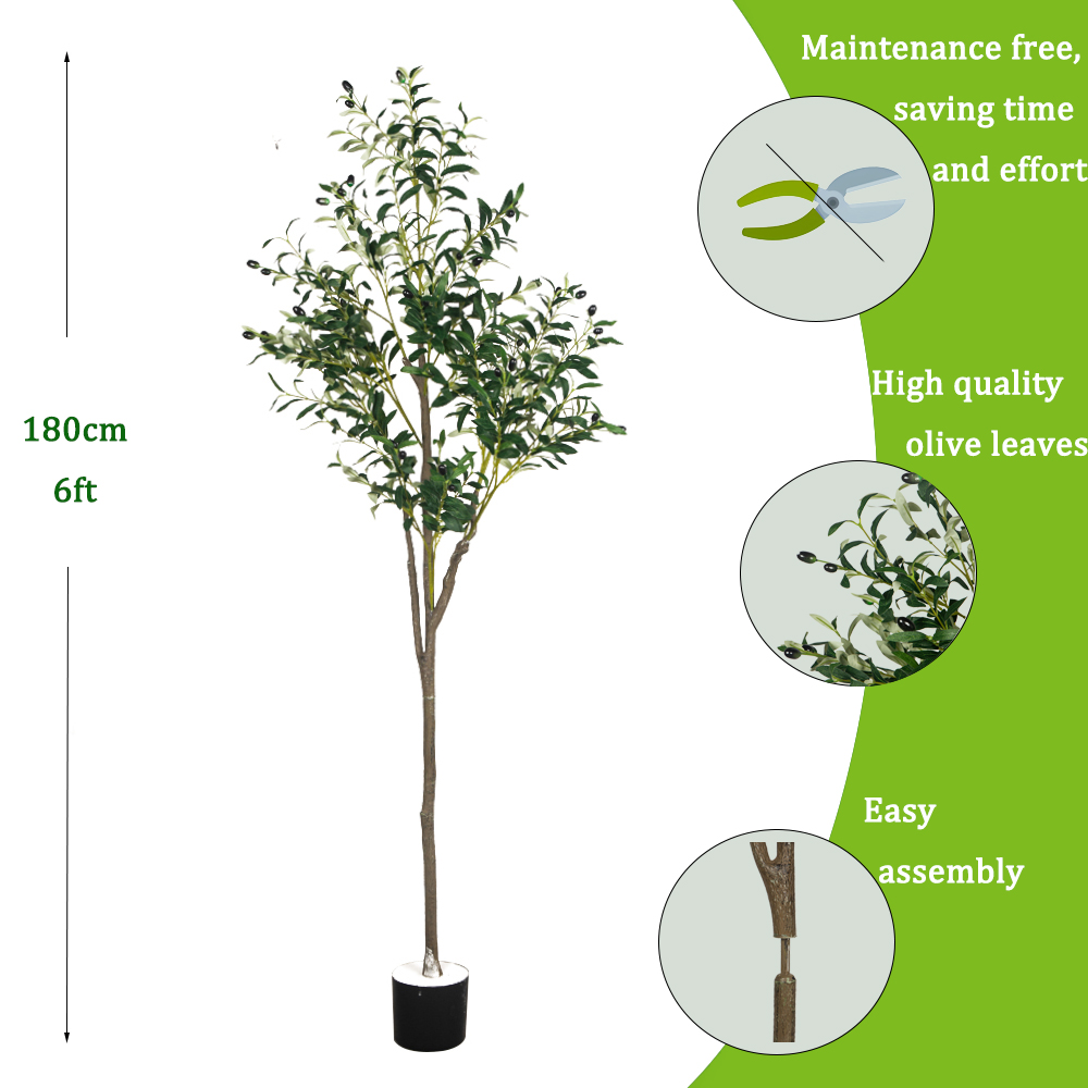 Tanaman zaitun buatan, 5/6 kak - Dracaena Marginata ulasan dan harga