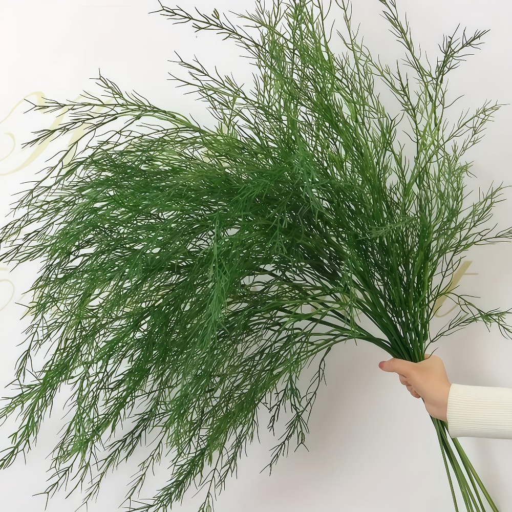 3 Buah Karangan Bunga Rumput B - Dracaena Marginata ulasan dan harga