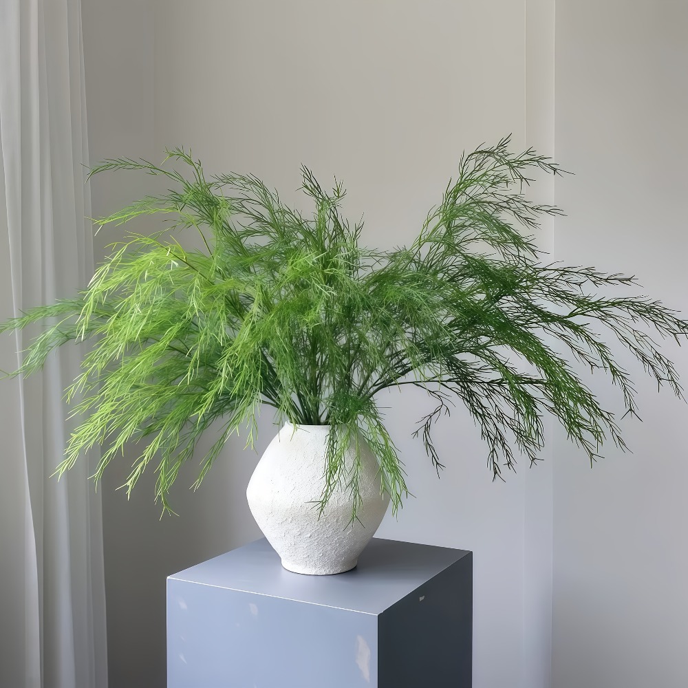 3 Buah Karangan Bunga Rumput B - Dracaena Marginata ulasan dan harga