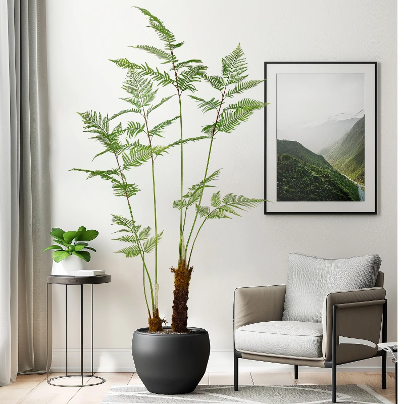 Besar simulasi monyet emas pak - Dracaena Marginata ulasan dan harga