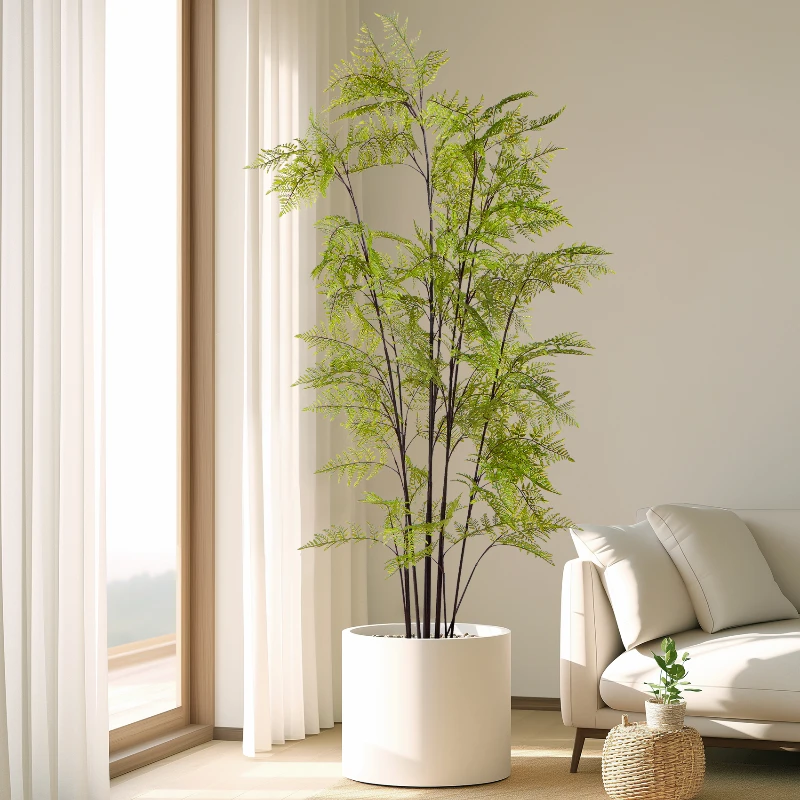 Besar simulasi monyet emas pak - Dracaena Marginata ulasan dan harga