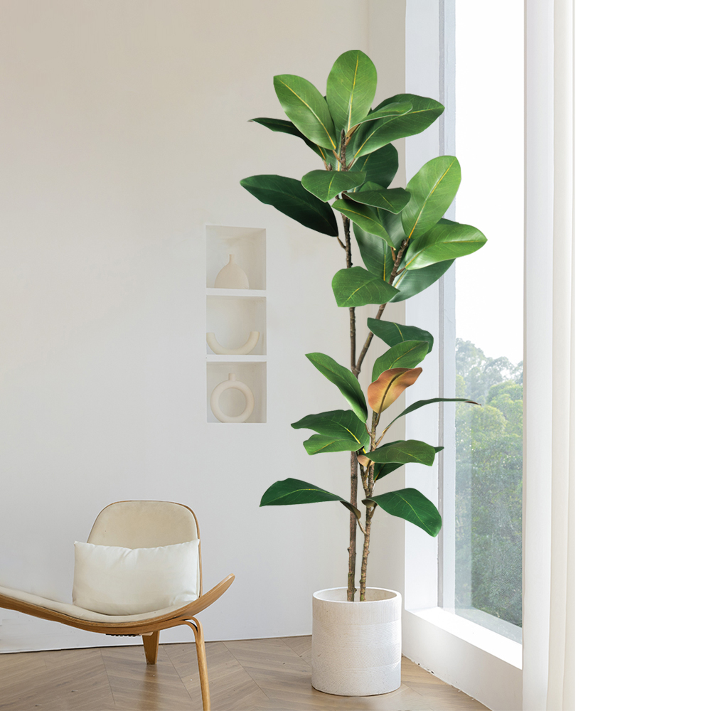 Pohon Magnolia Buatan Tinggi 5 - Dracaena Marginata ulasan dan harga